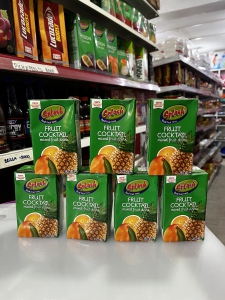 Splash Fruit Cocktail mixed fruit drink 250ml